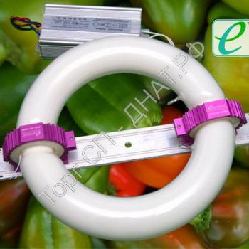 Индукционная - Биспектральная фито лампа Сатурн 100 W - Фитолампы и светильники для эффективного роста растений