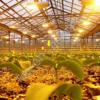 Лампы ДНаЗ 1000 Вт - Фитолампы и светильники для эффективного роста растений