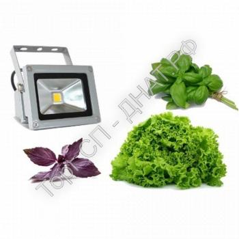Фито прожектор EmyLight Plus 10Вт - Фитолампы и светильники для эффективного роста растений