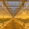 PLANTASTAR 400 - Интернет-магазин ламп и светильников для растений в Екатеринбурге, ДНАТ.РФ