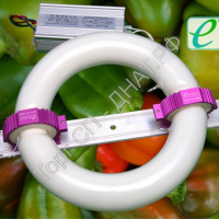 Индукционная - Биспектральная фито лампа Сатурн 100 W - Фитолампы и светильники для эффективного роста растений