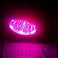 Светодиодные светильники для растений Led grow light  - Интернет-магазин ламп и светильников для растений в Екатеринбурге, ДНАТ.РФ