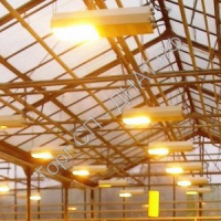 Как выбрать лампу для растений: сравниваем ДНаТ, LED и другие типы - Фитолампы и светильники для эффективного роста растений